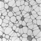 蕾絲碳膜（Lacey Carbon Films）